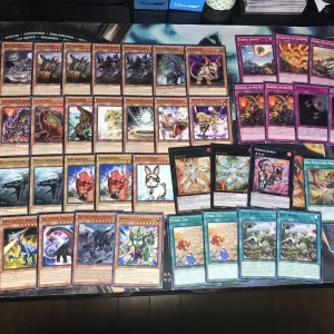 yugioh-dinosaur-deck