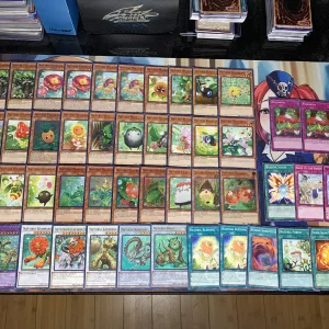 yugioh-naturia-deck