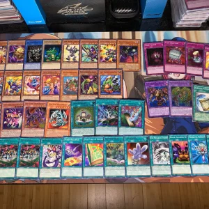 Yugioh Toon Deck
